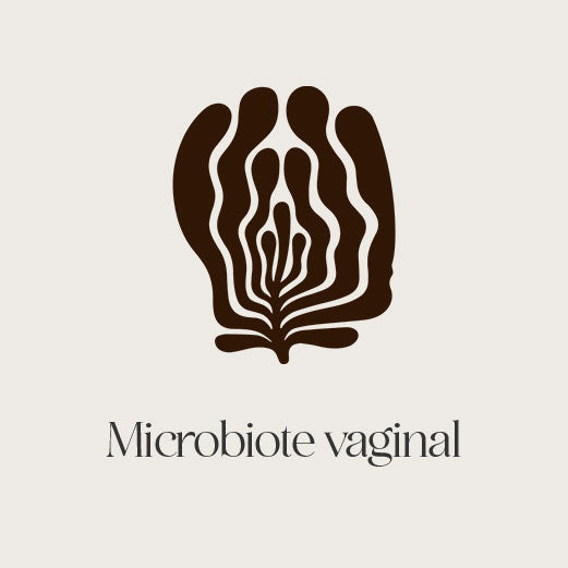 probiotiques vaginal ajy compléments alimentaires