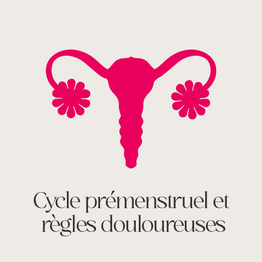 ajy complément alimentaires ayurvéda ayurveda règles douloureuses syndrome prémenstruel endométriose alexandra rosenfeld